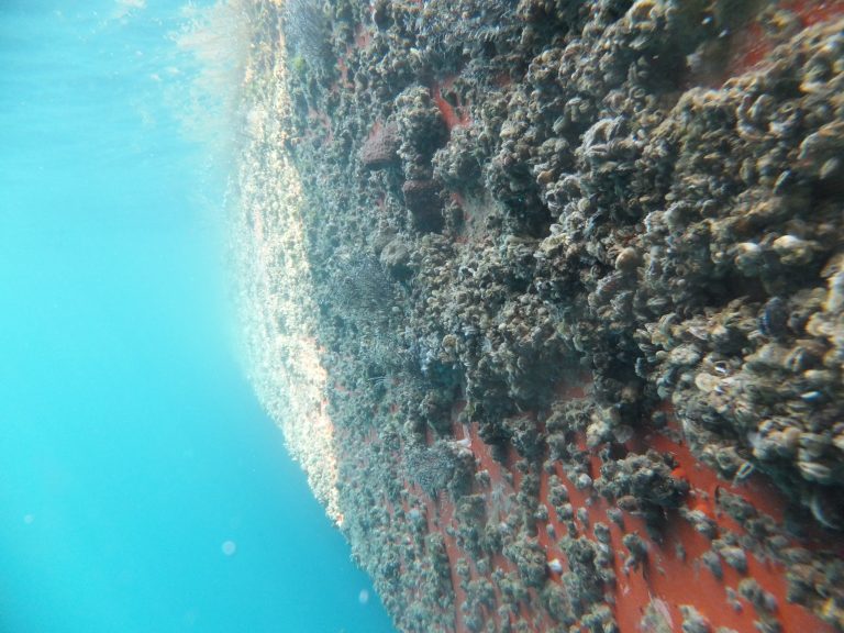Water Temperatu