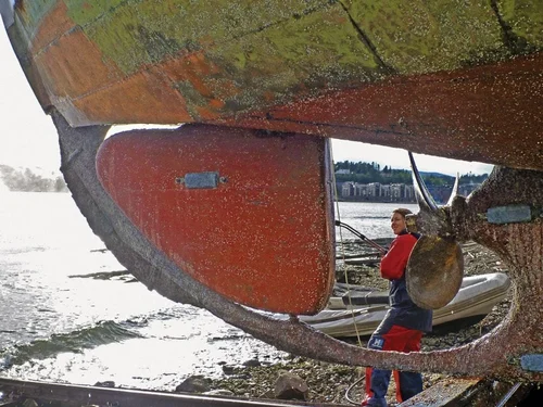 typical zinc replacement costs for boats and yachts