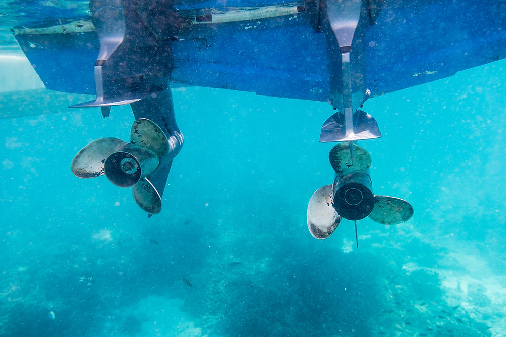 Florida hull cleaning