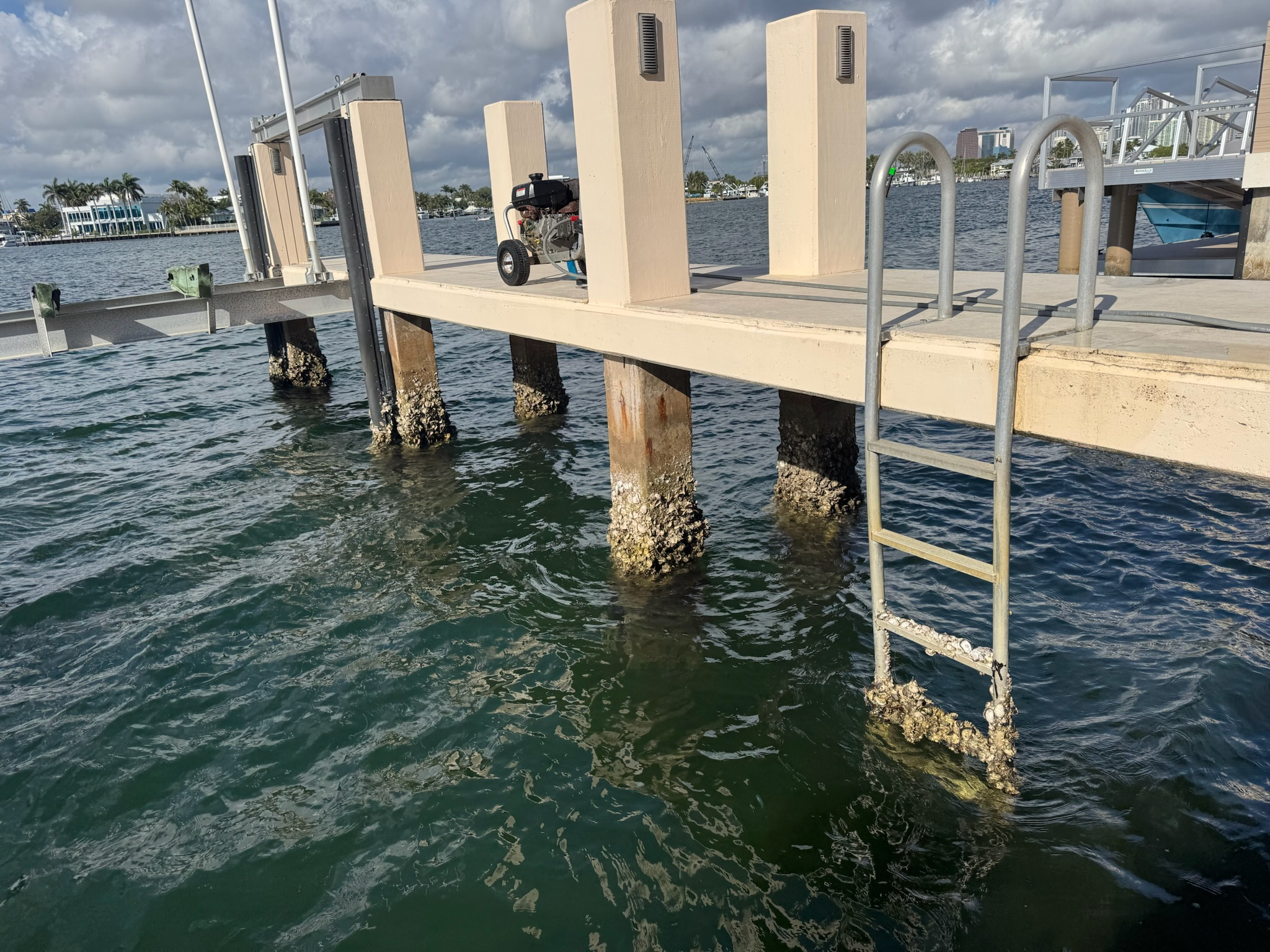 eco-friendly dock piling cleaning