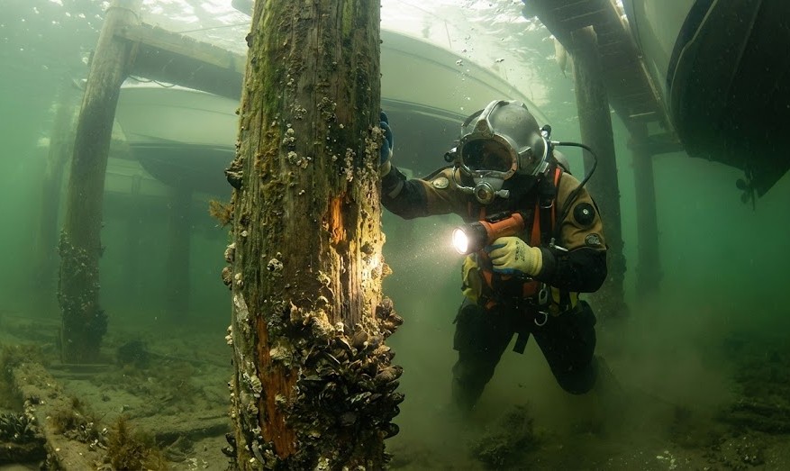 dock piling inspection service